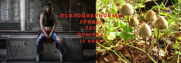 бошки Аркадак
